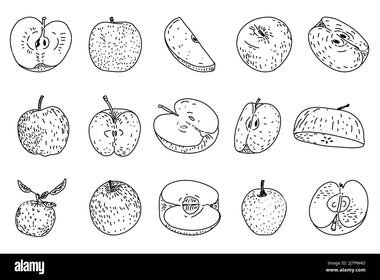 Illustrazioni vettoriali disegnate a mano da Apple. Prodotto del mercato agricolo. Mangiare sano. Illustrazione di cibo organico. Set Apple isolato. Illustrazione Vettoriale