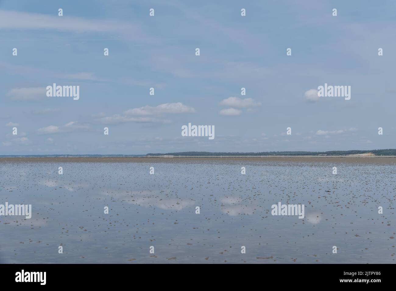 Wadden mare zona UNESCO sull'isola di Langli, vicino Esbjerg Danimarca Foto Stock