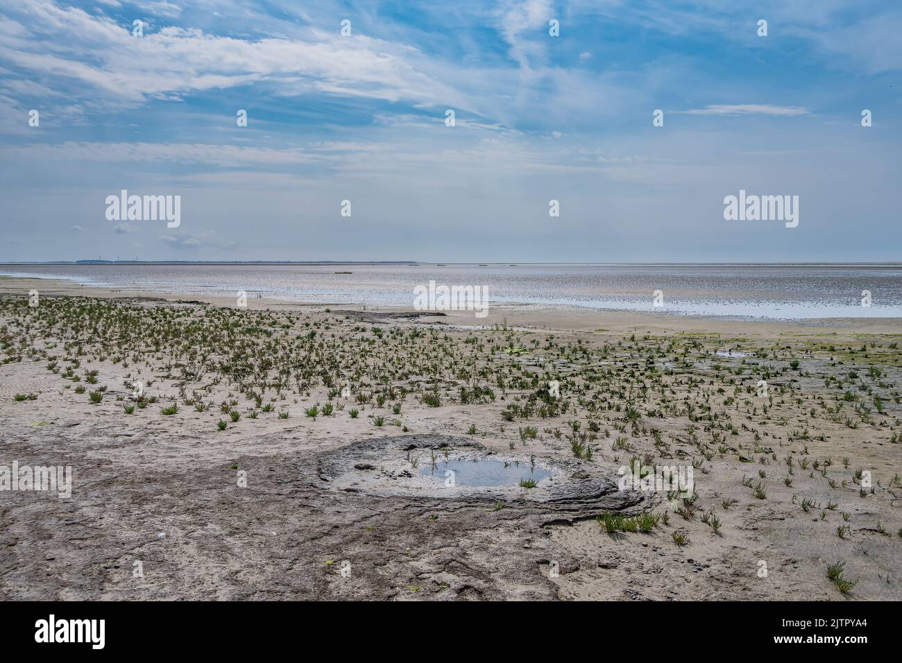 Wadden mare zona UNESCO sull'isola di Langli, vicino Esbjerg Danimarca Foto Stock