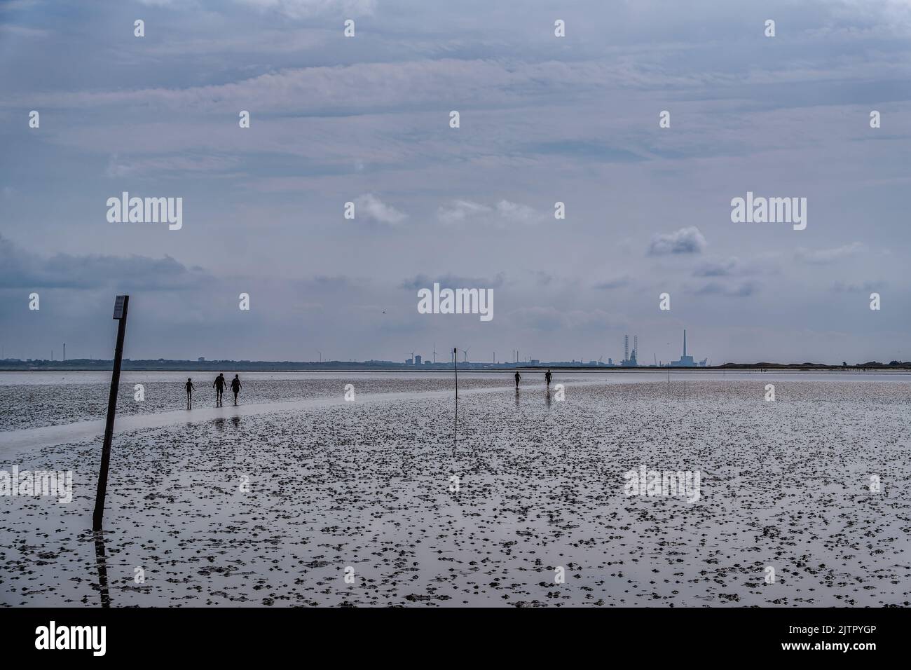Passeggiate nel mare di wadden, zona UNESCO, fino all'Isola di Langli, vicino Esbjerg Danimarca Foto Stock