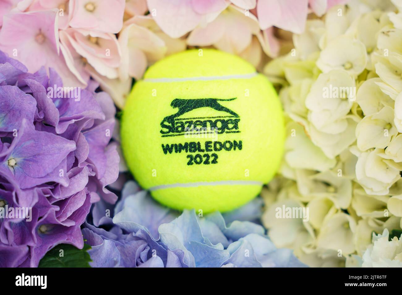 Wimbledon 2022 palla da tennis nel torneo Hydragea fiori trovati in loco Foto Stock