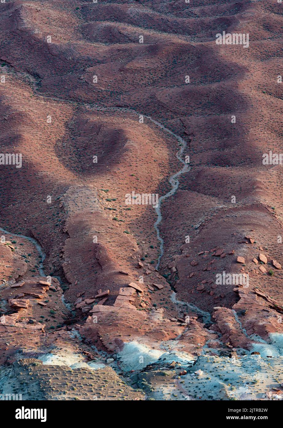 I contorni del deserto sono visti da 1000 piedi sopra da un bordo del canyon al Canyonlands National Park, San Juan County, Utah Foto Stock