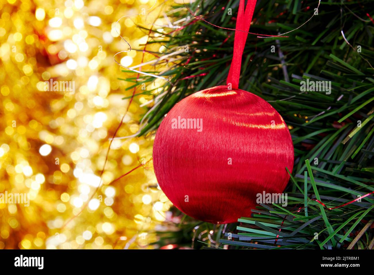 Ramo di albero sempreverde di Natale con sfera rossa brillante e parte posteriore sfocata dorata. Modello di banner per il nuovo anno con spazio di copia per il testo Foto Stock