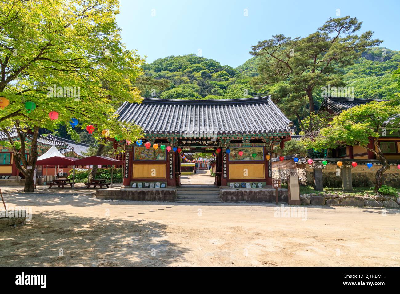 Jangseong-gun, Jeollanam-do, Repubblica di Corea - 4 maggio 2022: Un paesaggio di un tempio tradizionale coreano. Tempio tradizionale Baekyangsa. Foto Stock