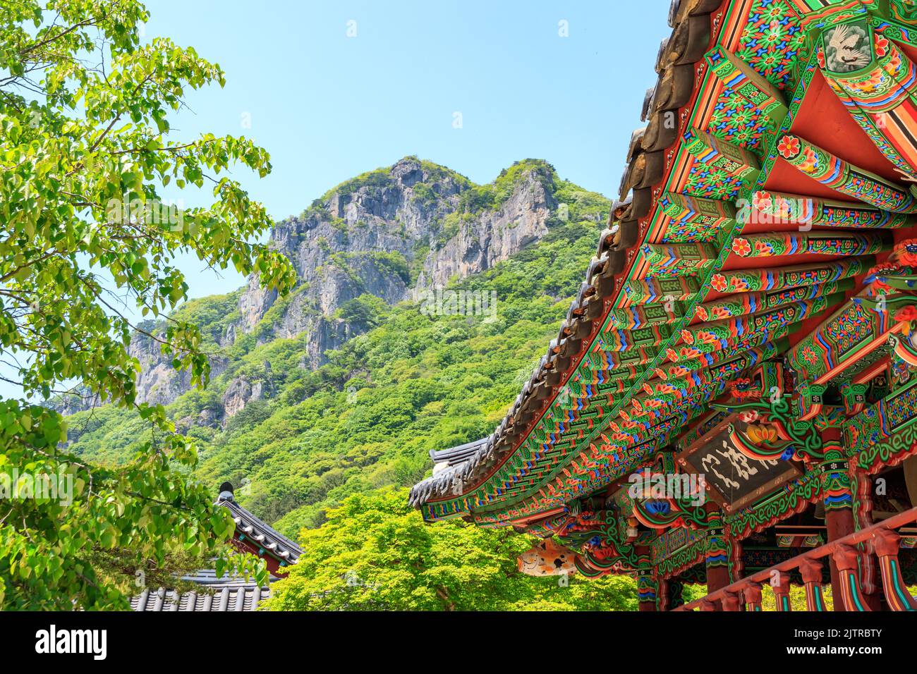 Jangseong-gun, Jeollanam-do, Repubblica di Corea - 4 maggio 2022: Un paesaggio di un tempio tradizionale coreano. Tempio tradizionale Baekyangsa. Foto Stock