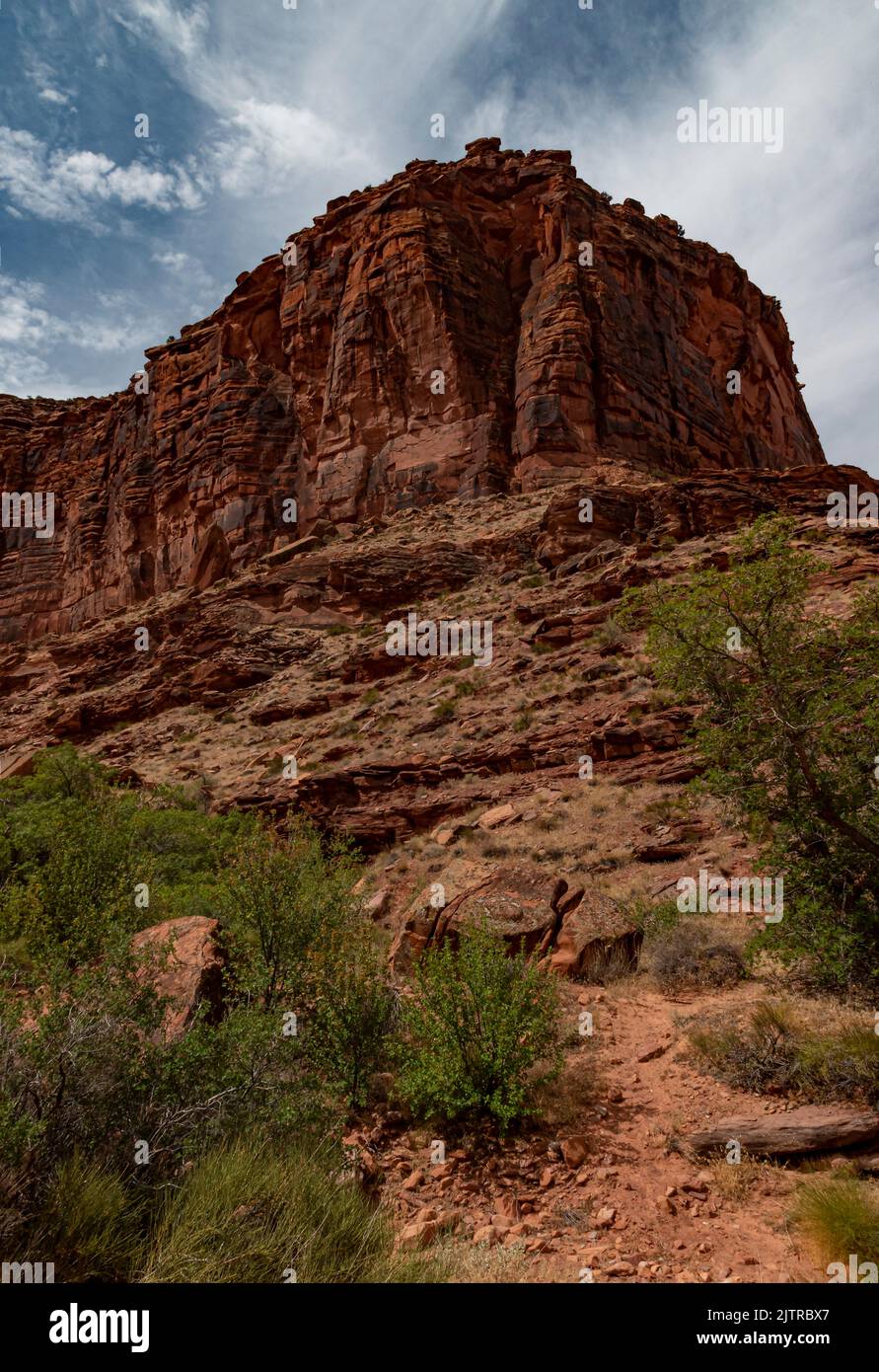 I cespugli del deserto dominano il primo piano, la roccia torreggiante del terreno centrale e le nuvole che si raccolgono filtrano il lucernario, lungo la Colorado River National Byway, Foto Stock