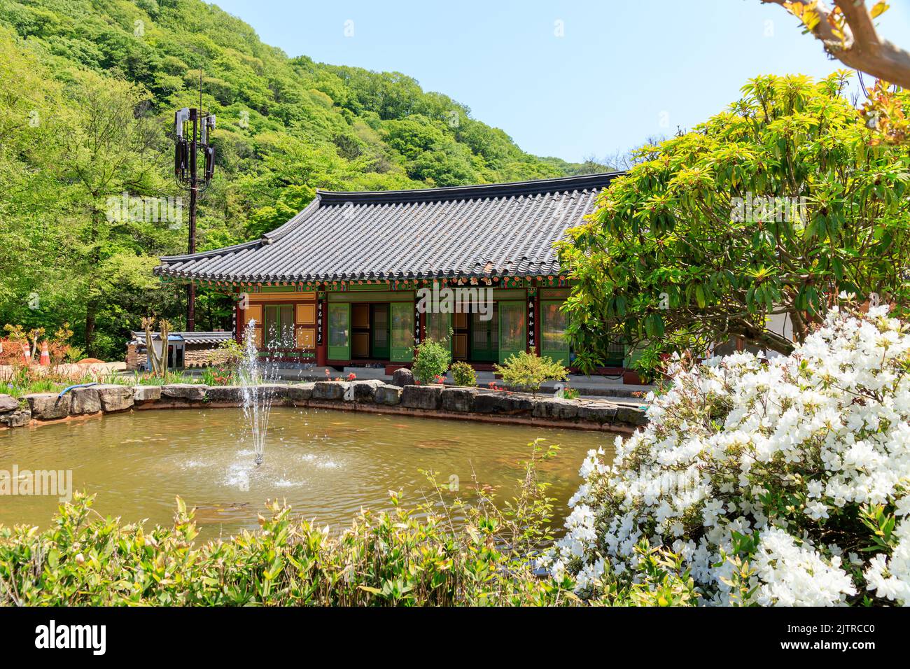 Jangseong-gun, Jeollanam-do, Repubblica di Corea - 4 maggio 2022: Un paesaggio di un tempio tradizionale coreano. Tempio tradizionale Baekyangsa. Foto Stock