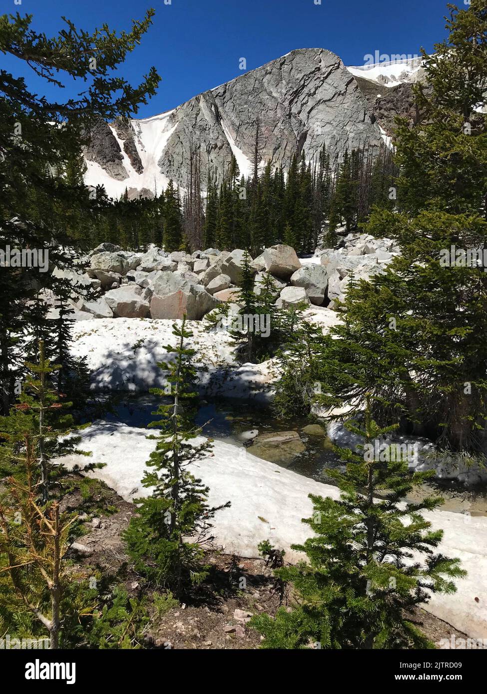 La neve si scioglie lentamente sulle montagne della Snowy Range nel sud-est del Wyoming, nella contea di Albany, Wyoming Foto Stock