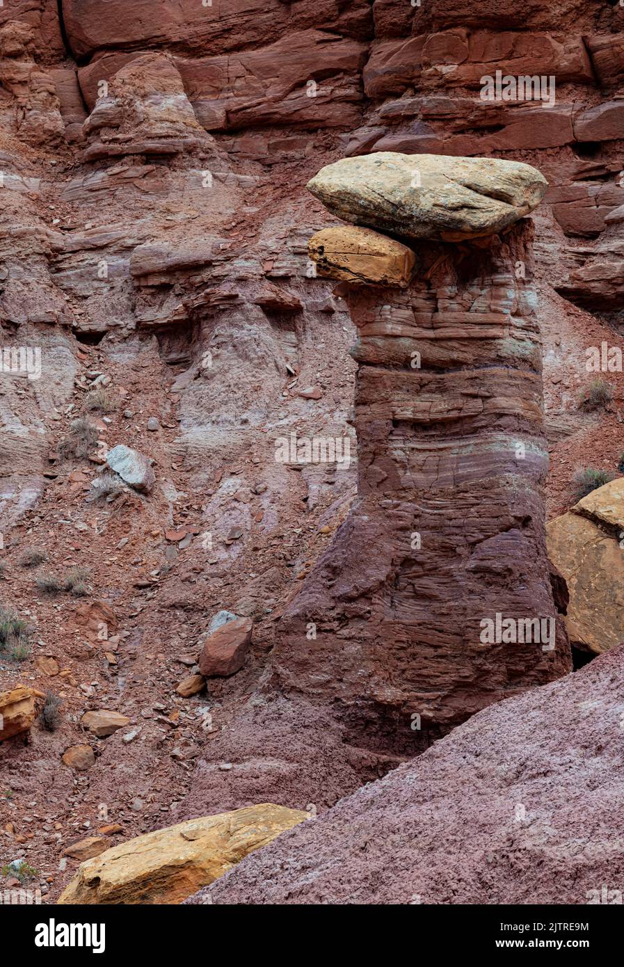 Una guglia di arenaria ha un capstone su esso generato dall'erosione irregolare e dagli agenti atmosferici, il Monumento nazionale di Grand Staircase Escalante, la contea di Garfield, Utah Foto Stock