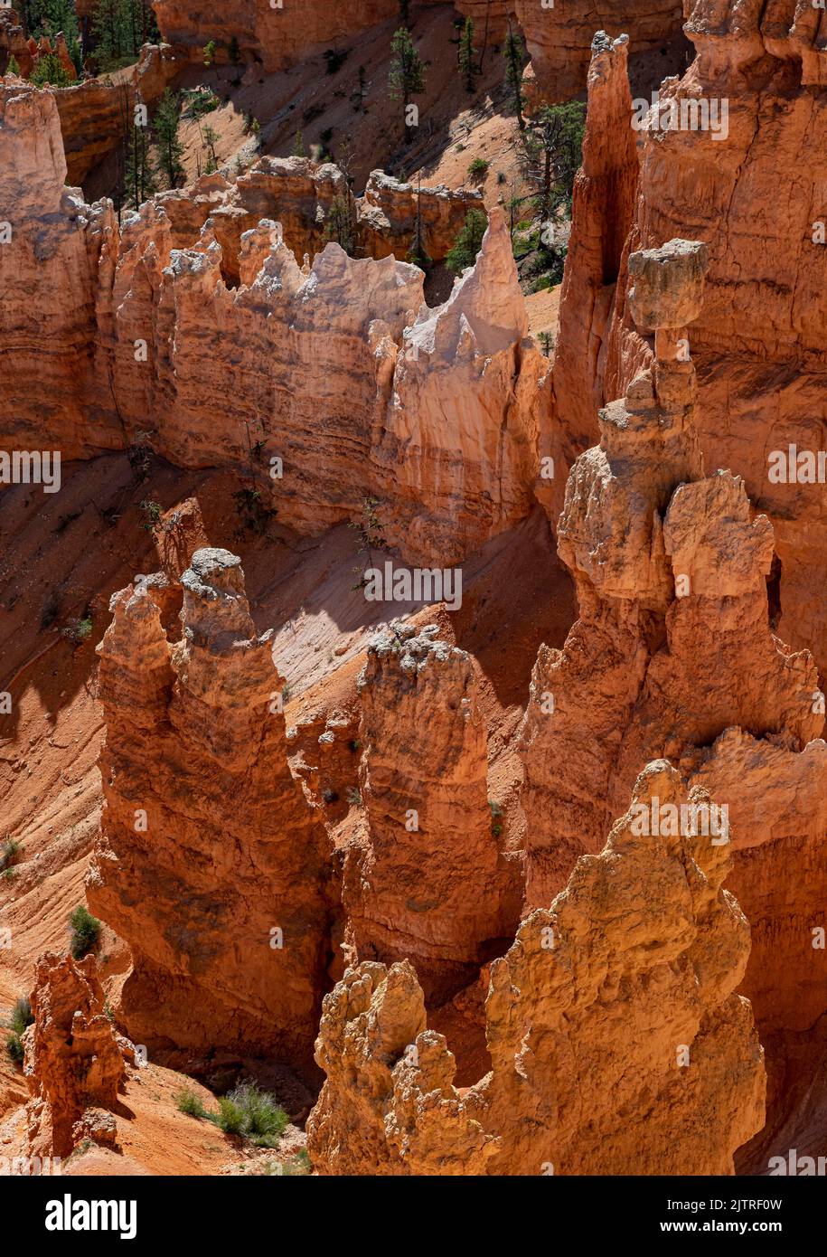 Gli hoodoos sono ciò che le spettacolari colonne di pietra sono chiamate al Bryce Canyon National Park nella contea di Garfield, Utah. Foto Stock