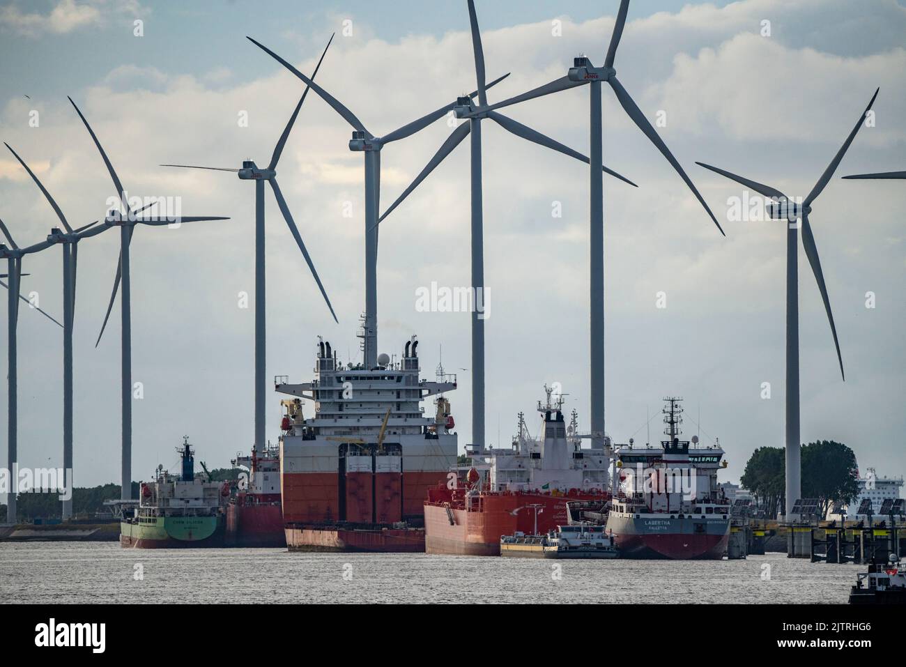 Petroleumhaven, petroliere in attesa di nuove operazioni di carico presso il porto di Europoort, la centrale eolica, di Rotterdam, Paesi Bassi, Foto Stock