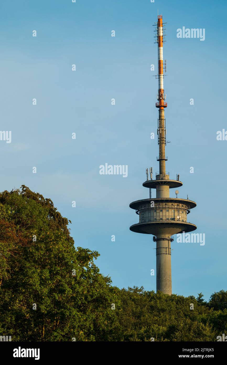 Torre di trasmissione, torre della televisione torri sopra la foresta, Bovenden, Germania Foto Stock