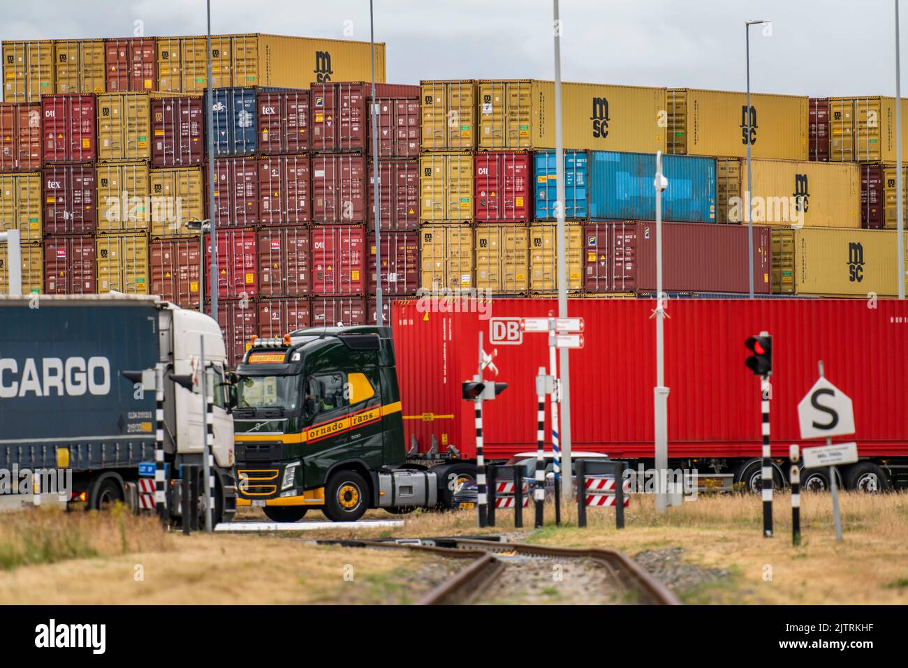 Porto di Europoort, area di Waalhaven, grande pila di contenitori, magazzino, presso il terminal dei container RST di Rotterdam, Paesi Bassi, Foto Stock