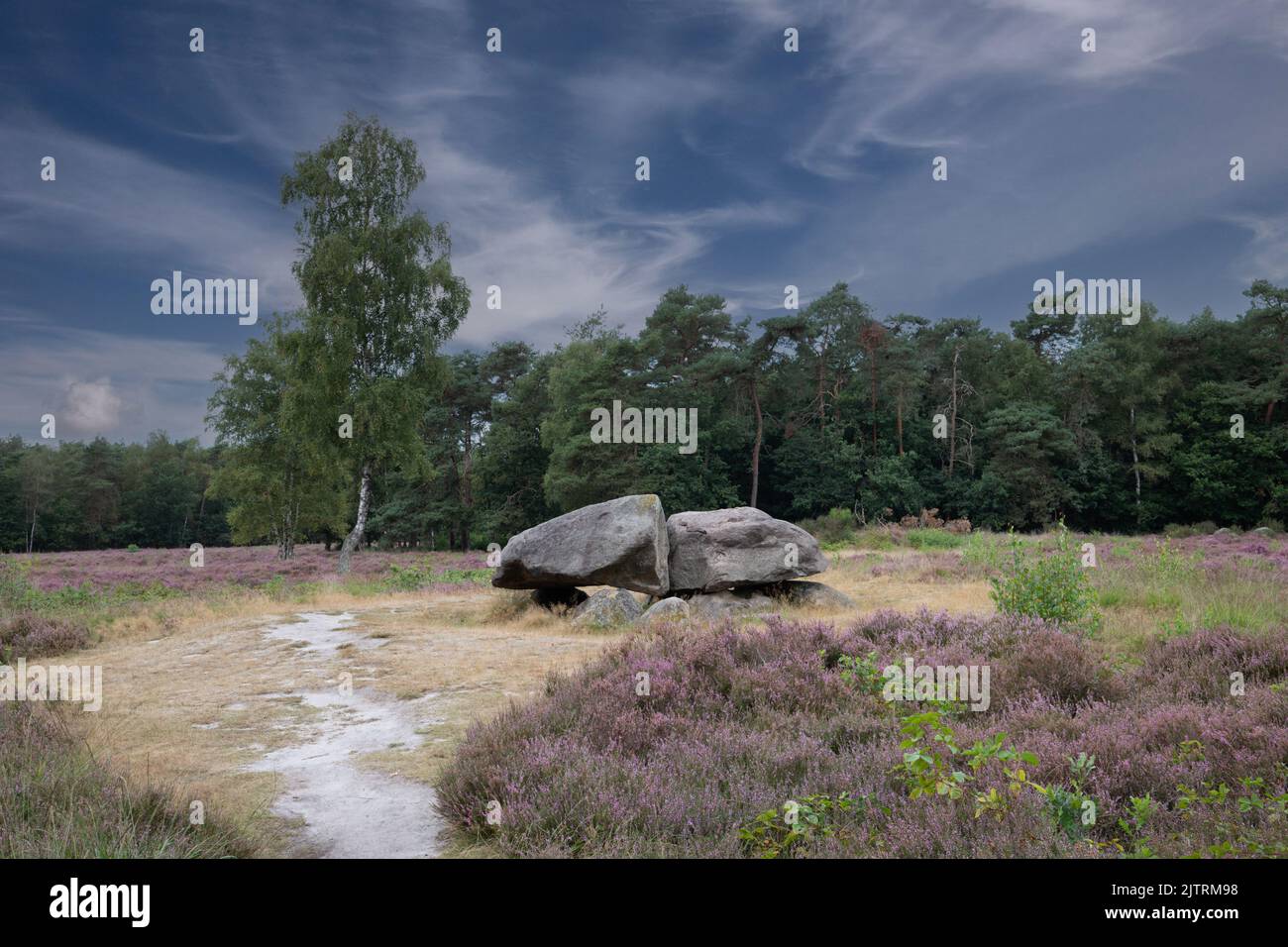 Dolmen D40, comune di Valtherbos di Emmen nella provincia olandese di Drenthe è una tomba neolitica e monumento storico protetto in un envi naturale Foto Stock