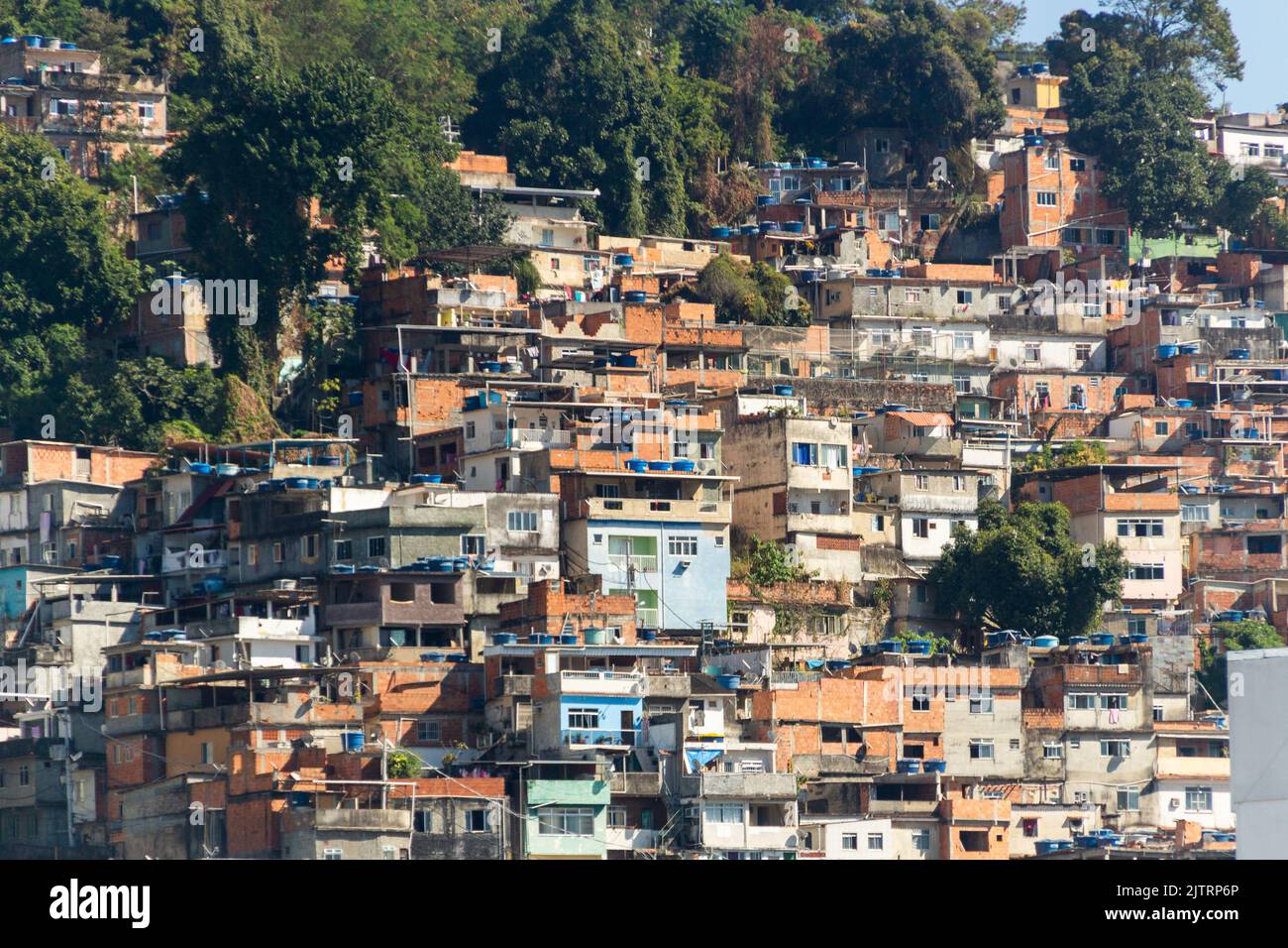 collina dalle capre ' morro dos Cabritos' a Rio de Janeiro, Brasile - 27 giugno 2020: collina ospita le capre situato nel distretto Copacabana di Rio de Foto Stock