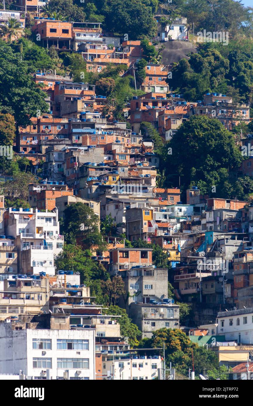 collina dalle capre ' morro dos Cabritos' a Rio de Janeiro, Brasile - 27 giugno 2020: collina ospita le capre situato nel distretto Copacabana di Rio de Foto Stock