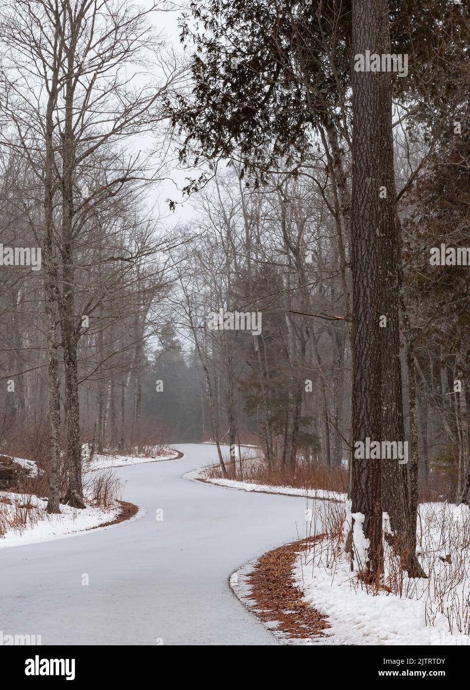 Una strada attraversa la foresta, mentre una tempesta di neve gli offre una copertura fresca, il Whitefish Dunes state Park, Door County, Wisconsin Foto Stock