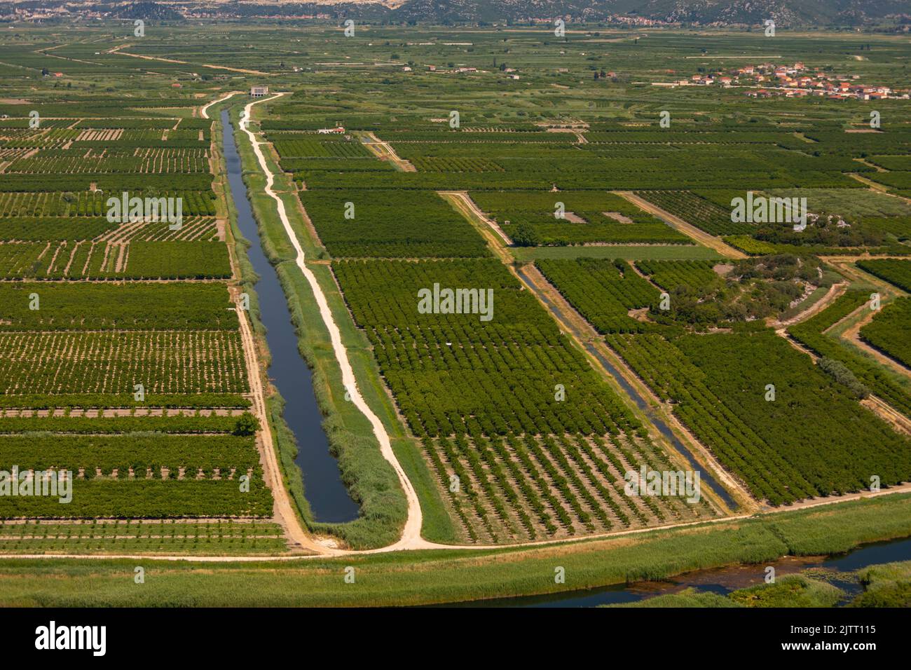 OPUZEN, VALLE DI NERETVA, CROAZIA, EUROPA - Agricoltura e canali di irrigazione nella Valle del fiume Neretva. Foto Stock