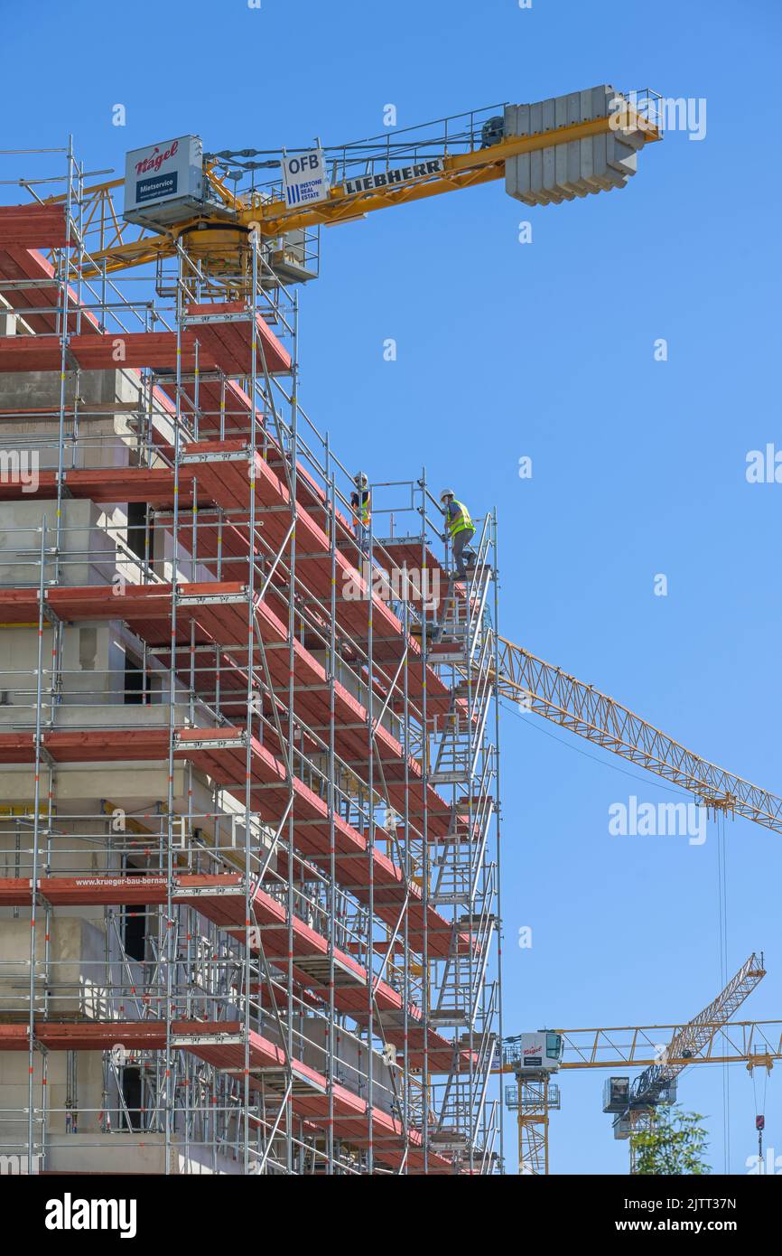 Bauarbeiten, Neubaugebiet Friedenauer Höhe, Friedenau, Schöneberg, Berlino, Germania Foto Stock