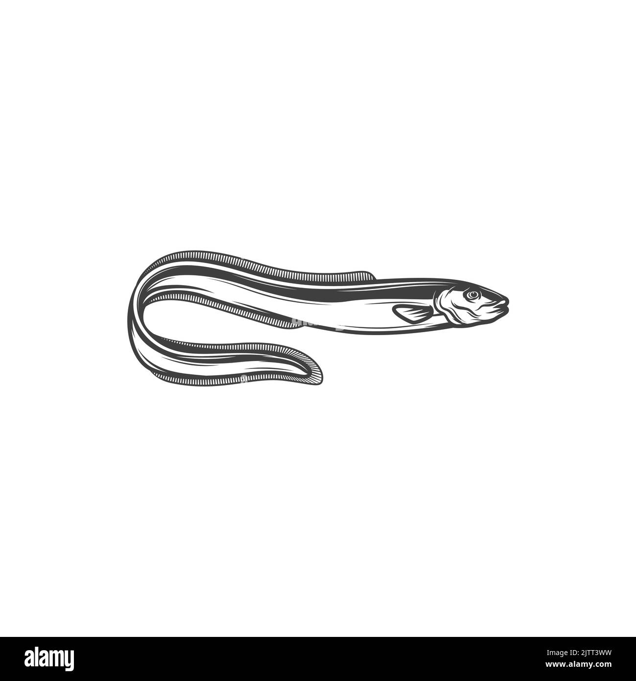 Icona monocromatica isolata a forma di anguilla. Vector mare anguilla elettrica, animale subacqueo marino, serpente d'acqua salata, pesca knifefish sport mascotte. Elettrorfo Illustrazione Vettoriale