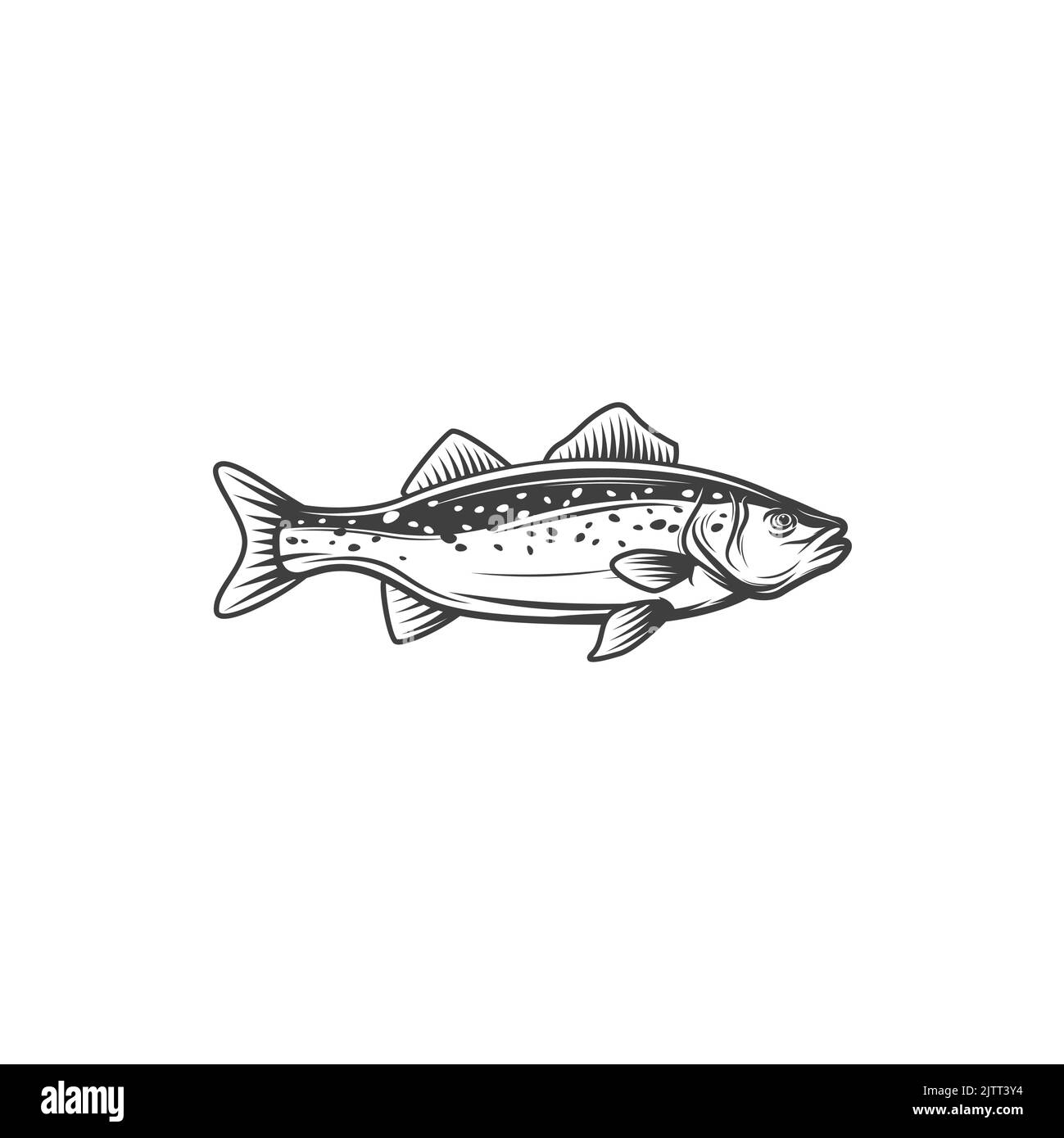 Pesce codrillo d'acqua dolce isolato scorbridae pesce icona monocromatica. Vettore giallo persico, animale lago di fiume. Pesca sport mascotte, acqua salata tonno mano d Illustrazione Vettoriale