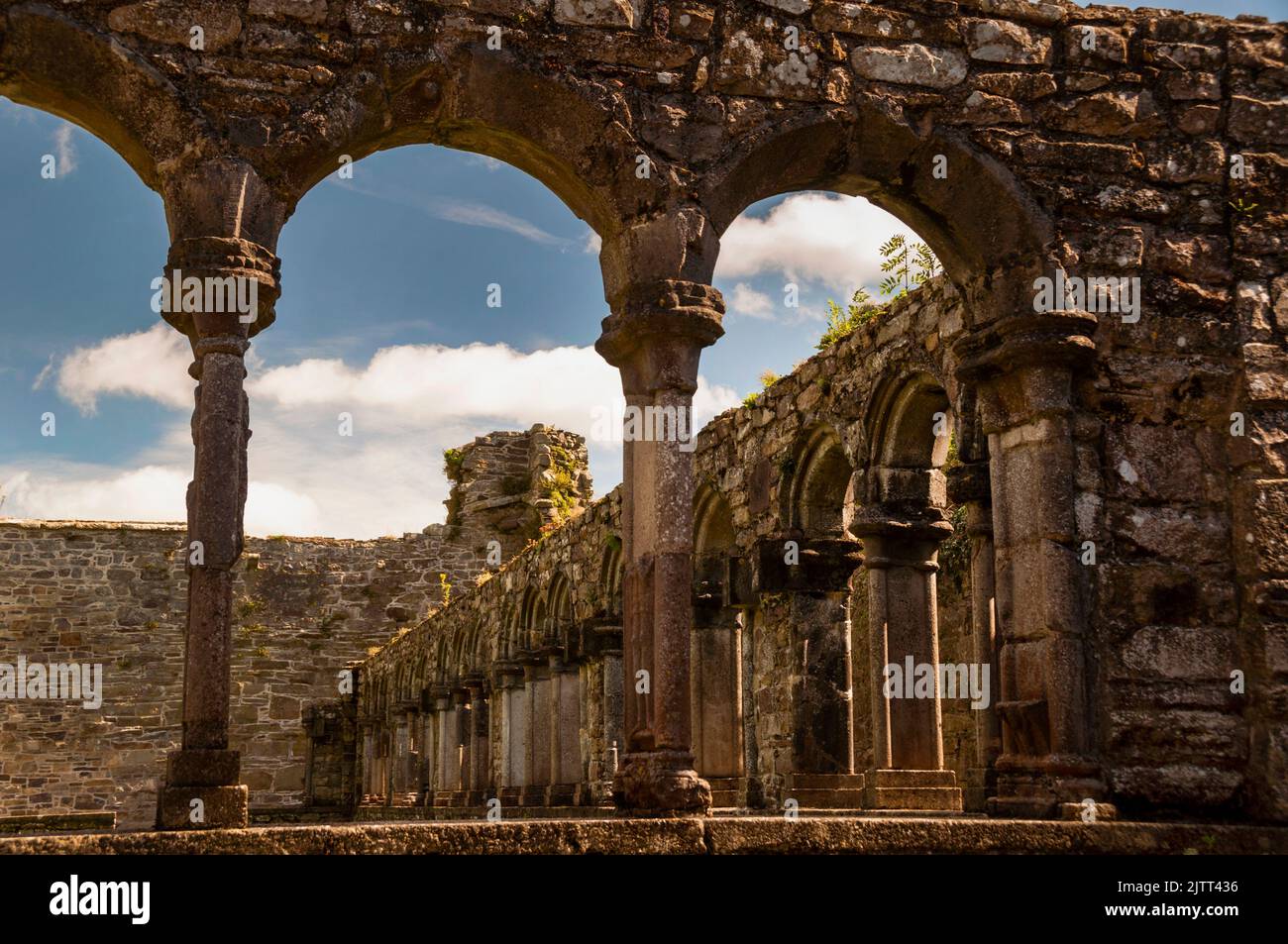 Chiostro arcade presso Jerpoint Abbey a Thomastown, Irlanda. Foto Stock