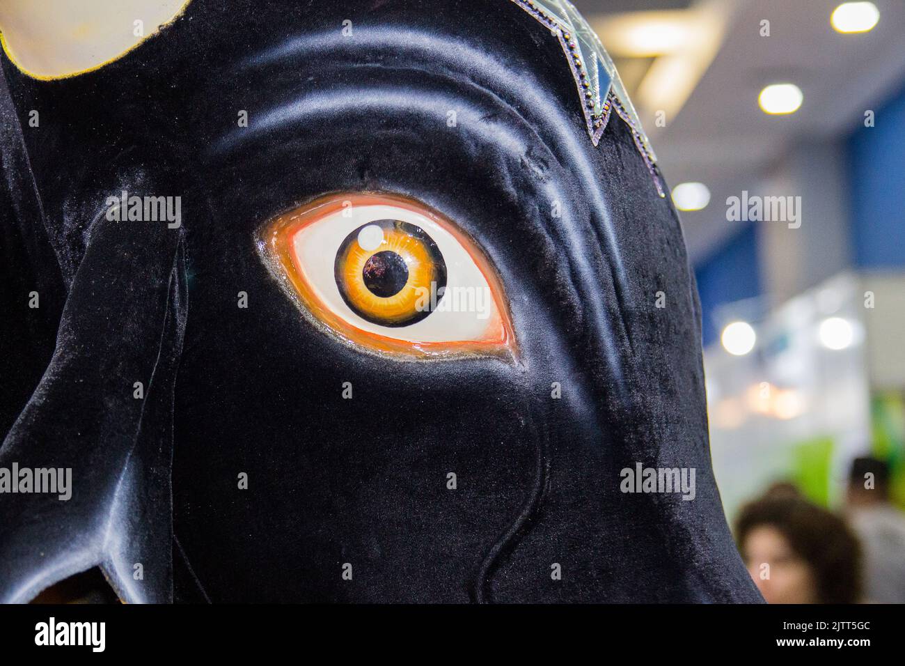 Capo di un ornamento di bue a Rio de Janeiro. Foto Stock