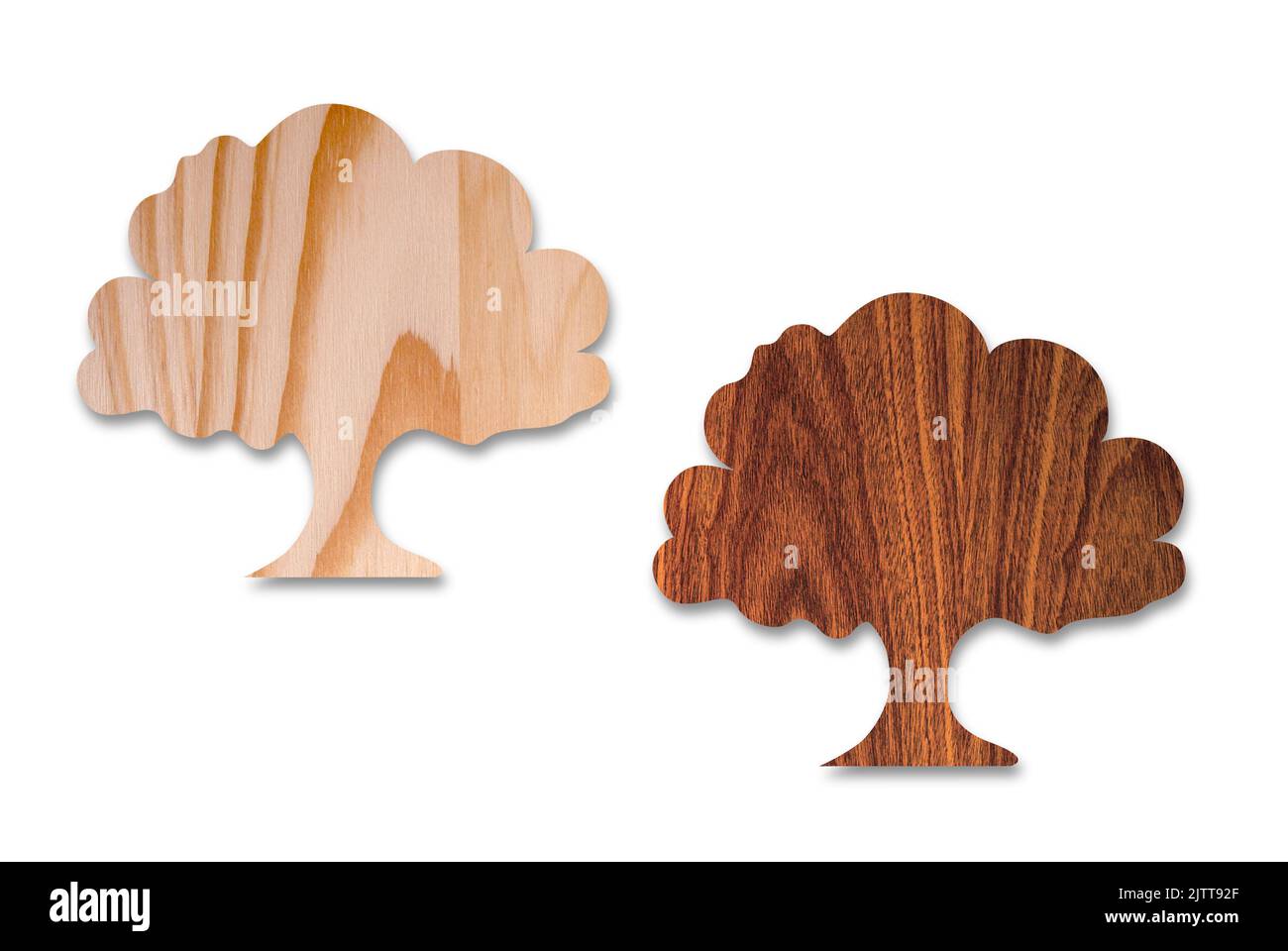 Due forme di albero ritagliate in legno isolato su sfondo bianco Foto Stock