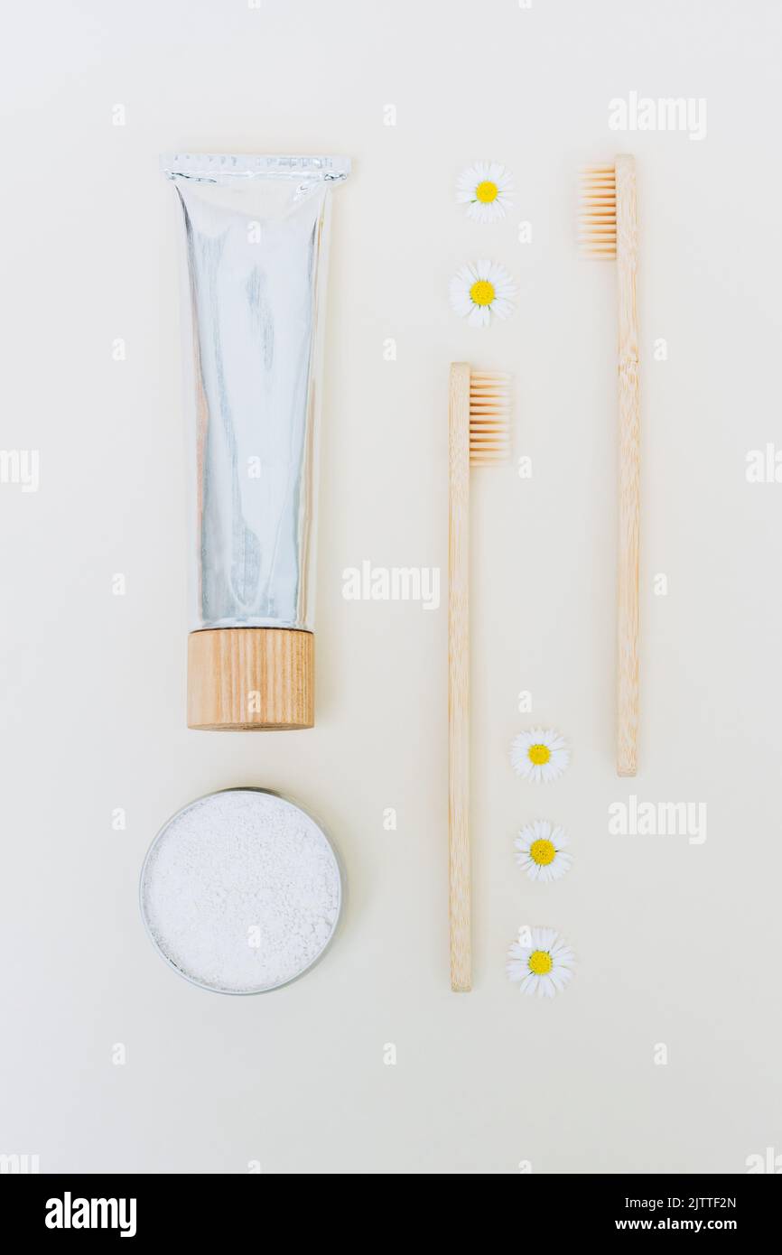 Pacchetto prodotti self-care zero rifiuti - spazzolini da denti in bambù, caolino in polvere da denti e dentifricio biologico a base di erbe in tubo di alluminio su sfondo chiaro. Foto Stock