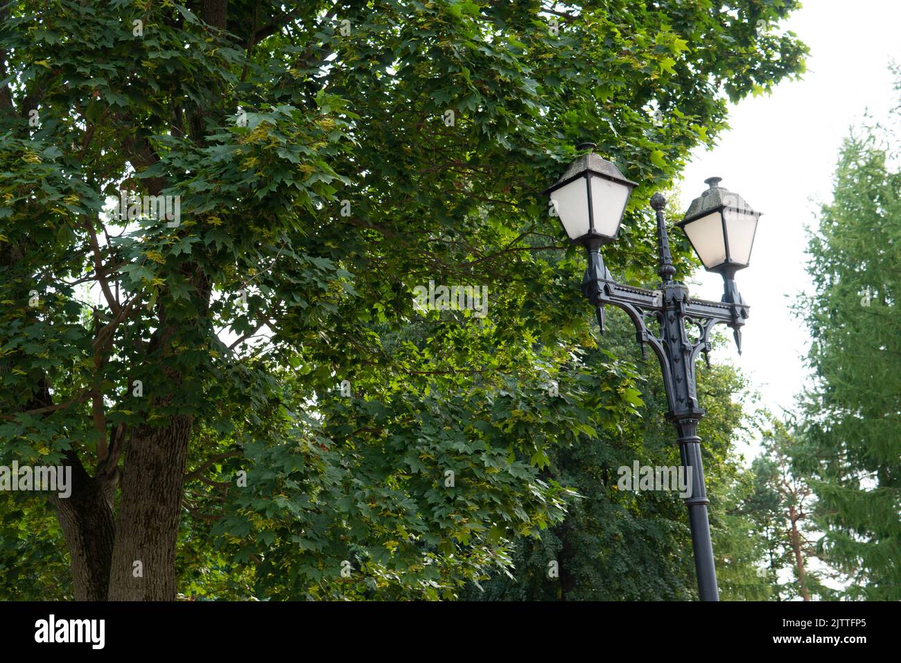 Lampada città lanterna luce strada elettricità città città moderna, concetto notte Street light in esterno per set vintage, segno di decorazione. Splendido oro Foto Stock