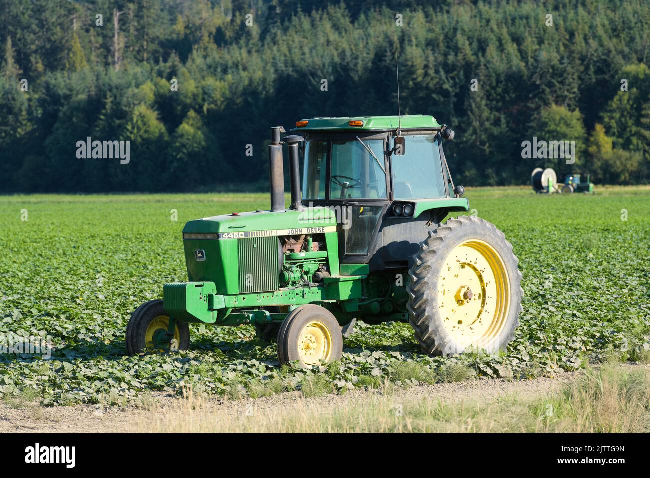 Skagit Valley, WA, USA - Agosto 30. 2022; trattore John Deere modello 4450 in campo agricolo Foto Stock