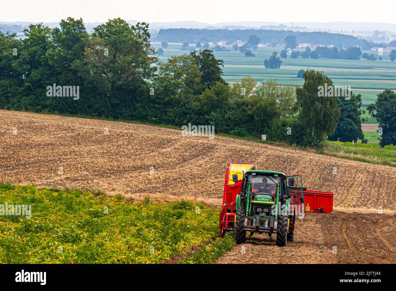 Le patate primaticce tedesche sono disponibili dall'inizio di giugno. I consumatori finali possono quindi acquistare le patate fresche direttamente dalla fattoria in sacchi da 5 kg Foto Stock