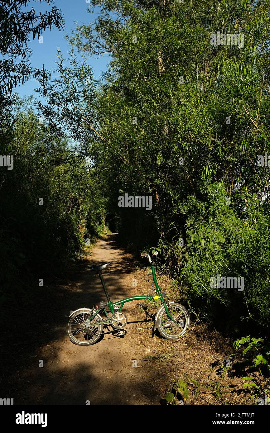 2022 agosto - Green Brompton pieghevole sulla Willow Walk a Glastonbury, parte del percorso della rete ciclistica nazionale Foto Stock