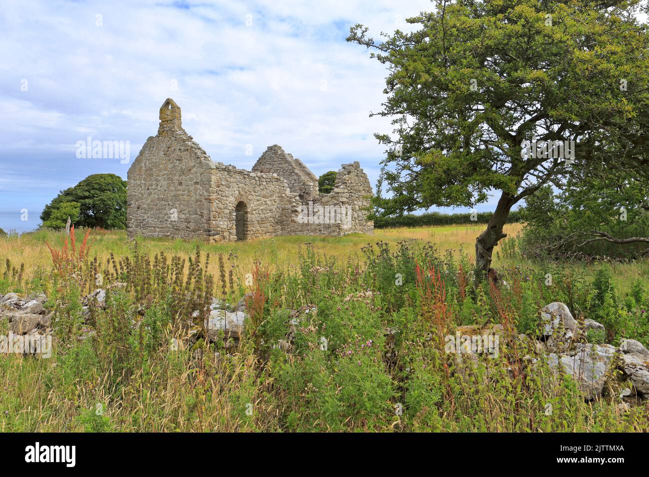 Le rovine del 12th ° secolo di Lligwy Chapel o Capel Lligwy vicino a Moelfre, Isola di Anglesey, Ynys Mon, Galles del Nord, Regno Unito. Foto Stock