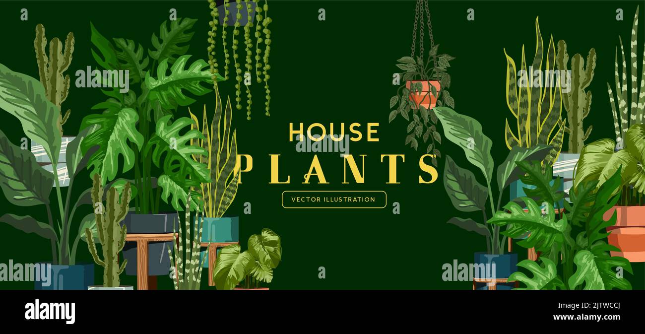 Set di raccolta vettoriale piante di casa fresche e verdi. Illustrazione Vettoriale