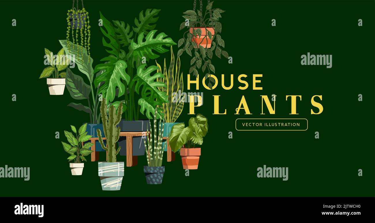 Una serie di piante fresche e verdi casa al coperto. Illustrazione vettoriale. Illustrazione Vettoriale