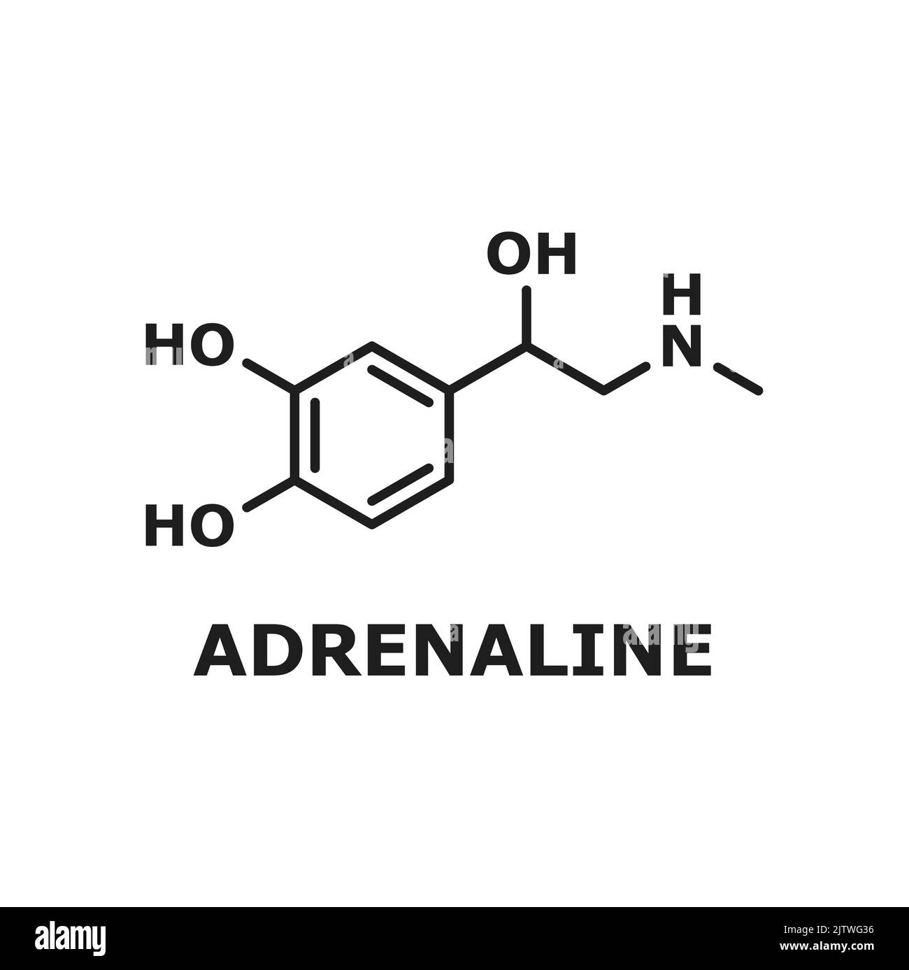 Neurotrasmettitore di epinefrina, molecola di adrenalina isolata a linea sottile struttura chimica. Molecola vettore neurotrasmettitore, struttura chimica ormonale prodotta da ghiandole surrenali, alcuni neuroni Illustrazione Vettoriale