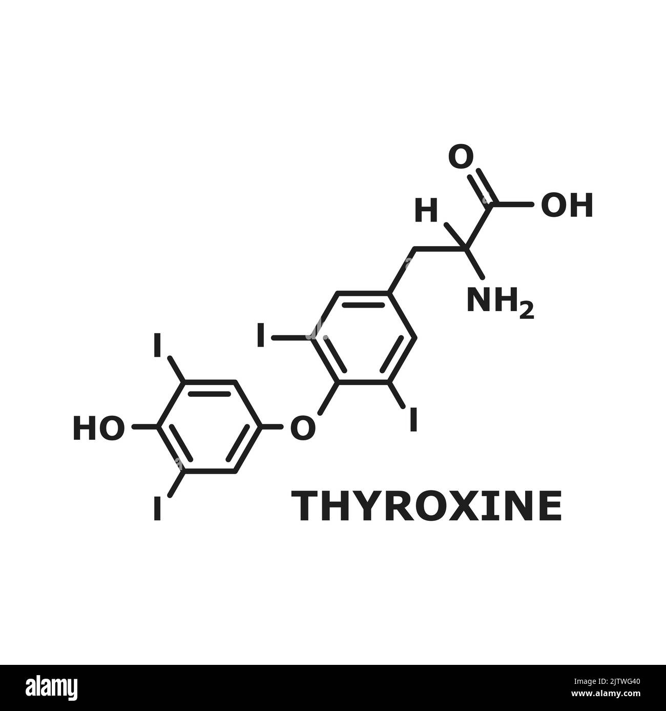 Tiroxina T4, levotiroxina ormone tiroideo struttura di molecola chimica isolata, linea sottile formula scheletrica. Vettore proormone della tironina T3, ormone del corpo umano utilizzato come farmaco per il trattamento dell'ipotiroidismo Illustrazione Vettoriale