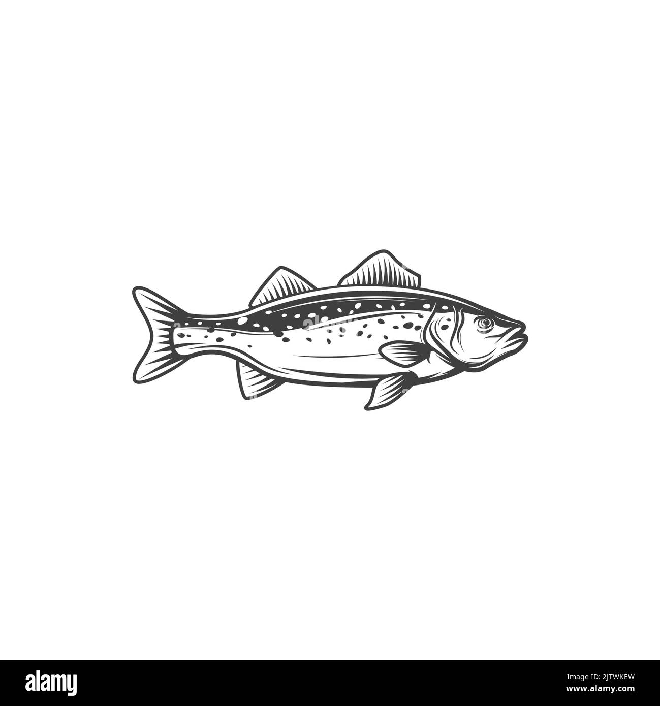 Pesce codrillo d'acqua dolce isolato scorbridae pesce icona monocromatica. Vettore giallo persico, animale lago di fiume. Pesca sport mascotte, tonno di acqua salata pescato a mano. Pesce d'acqua dolce europeo, pesce gamefish balcanico Illustrazione Vettoriale