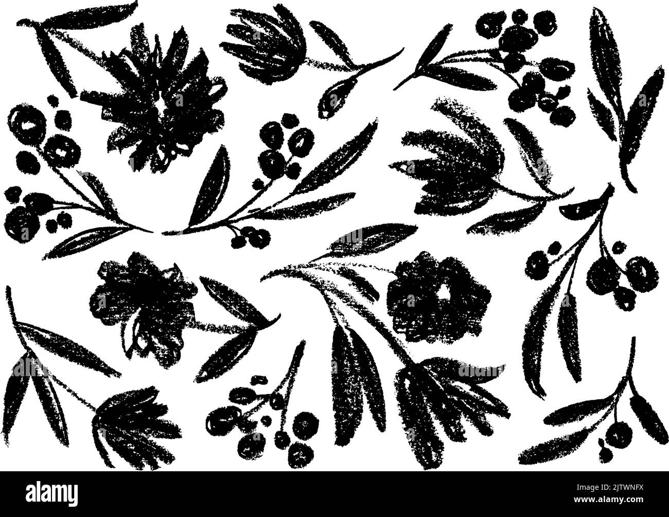 Fiori di carbone disegnati a mano su sfondo bianco. Illustrazione Vettoriale