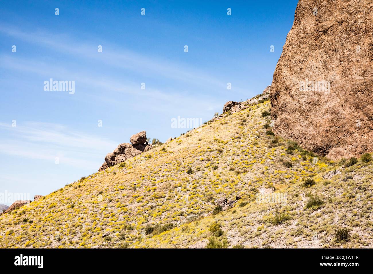 Ripide formazioni rocciose e fiori gialli sulle colline sottostanti nel Lost Dutchman state Park, Arizona, USA. Foto Stock