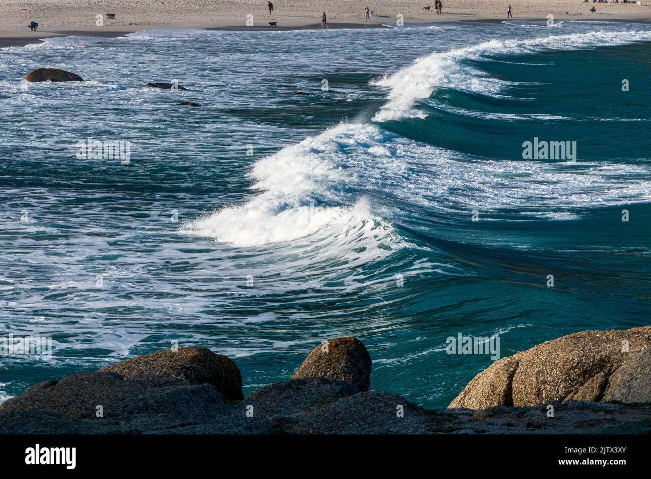 Schiuma di mare bianca sulle onde costiere dell'Oceano Atlantico. Sudafrica Foto Stock
