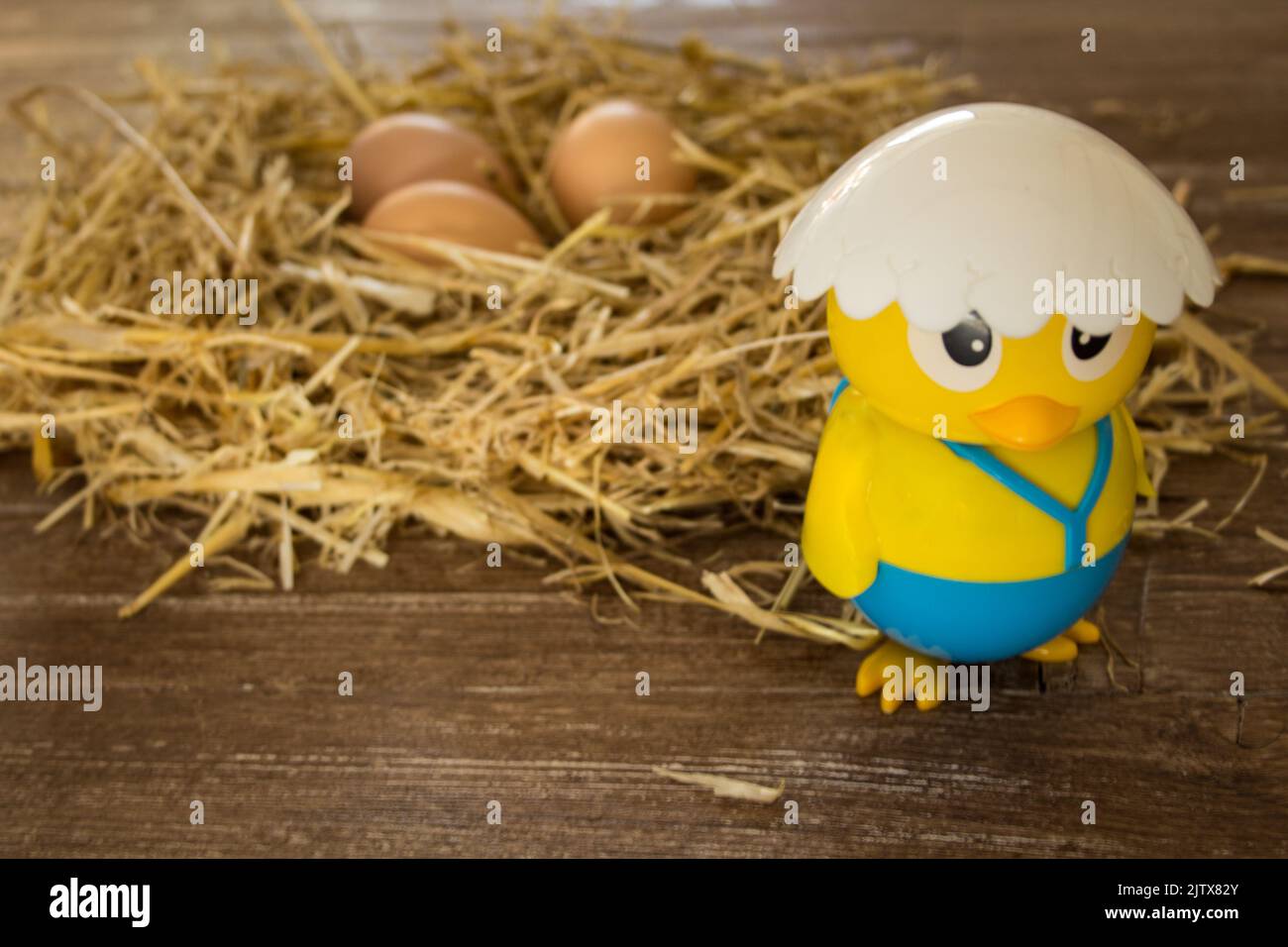 pulcino giocattolo con un nido con fondo uova Foto Stock