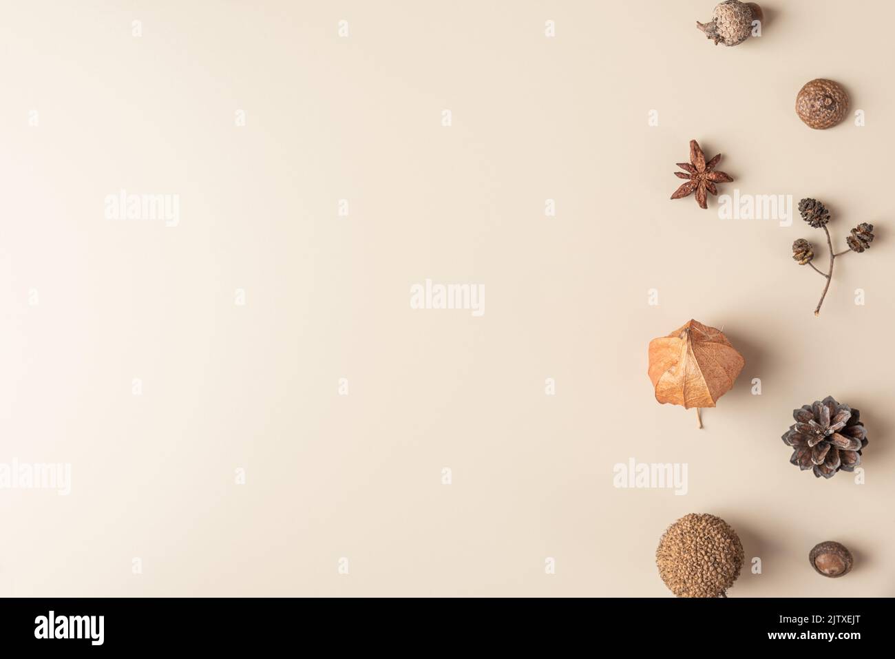 Composizione autunnale fatta di fiori secchi, acorno, cono di pino, stella anice su sfondo beige. Piano di giacitura, vista dall'alto con spazio di copia Foto Stock