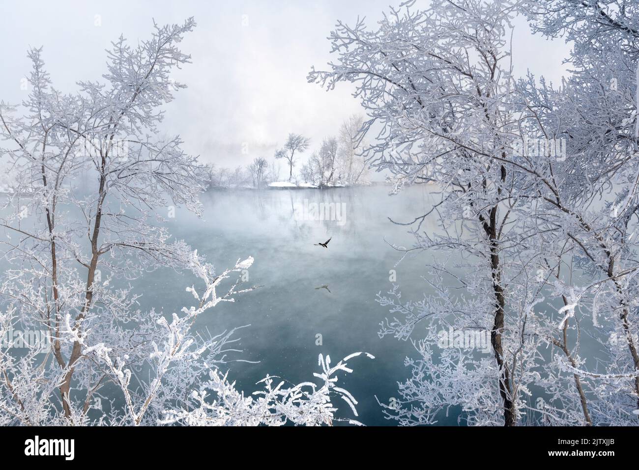 Siberia, Russia. Un giorno di inverno scuro e freddo. La temperatura è di -30. Tutto è congelato. Ma l'acqua. Un paesaggio congelato. Foto Stock