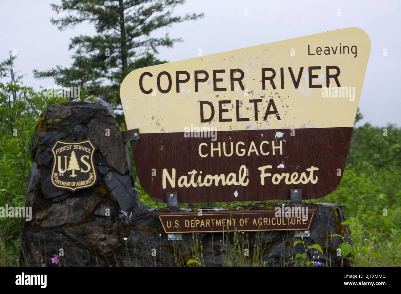 Il delta del fiume Copper, Alaska e la foresta nazionale di Chugach, Alaska Foto Stock