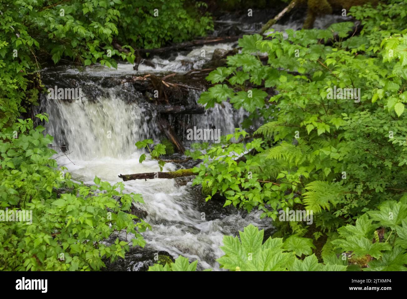 Il Delta del fiume Copper, Alaska Foto Stock