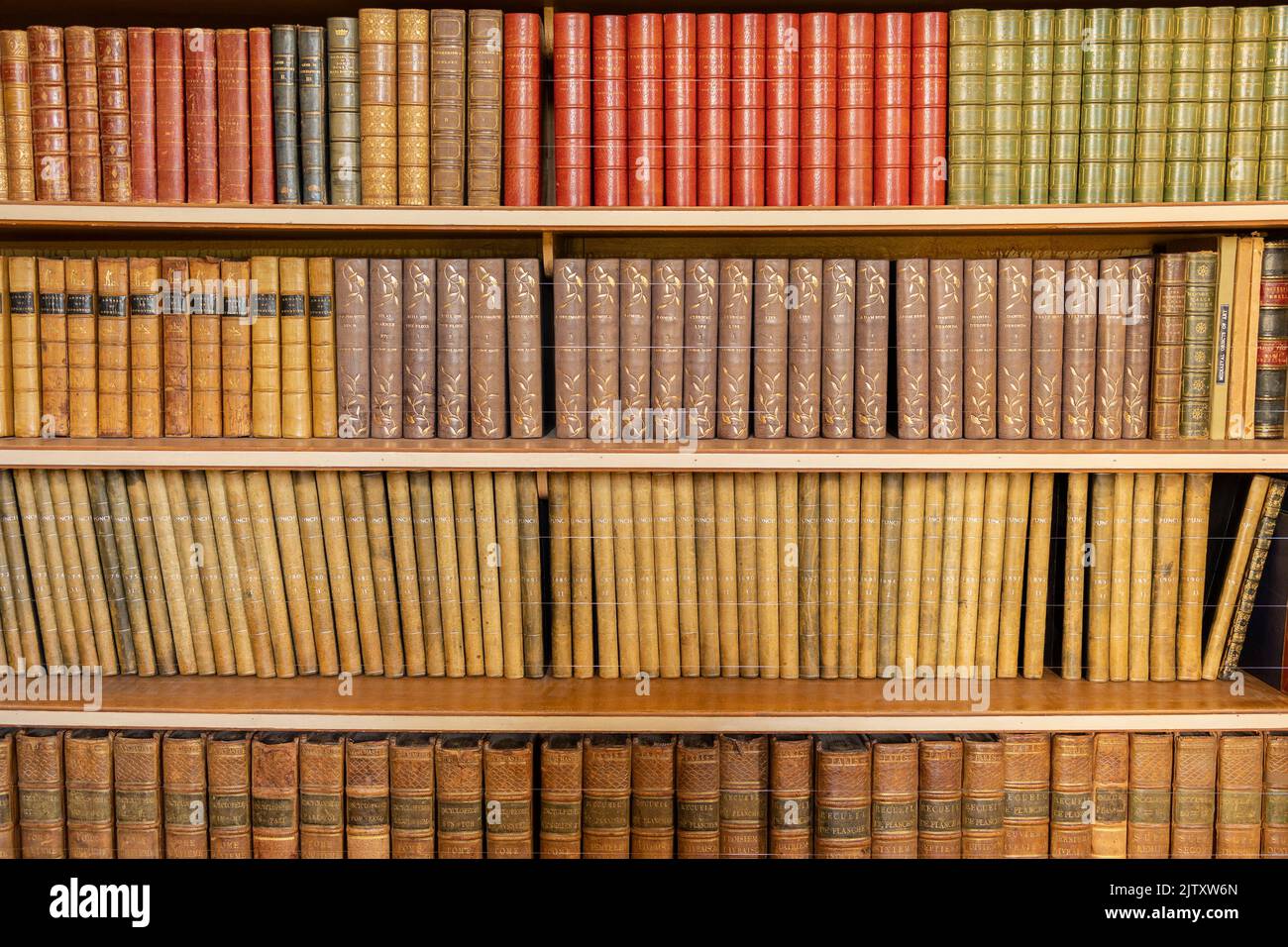 Maidstone, kent, Regno Unito, 20, agosto 2022 Sala della Biblioteca nel Castello di Leeds con un primo piano delle collezioni di libri antichi Foto Stock