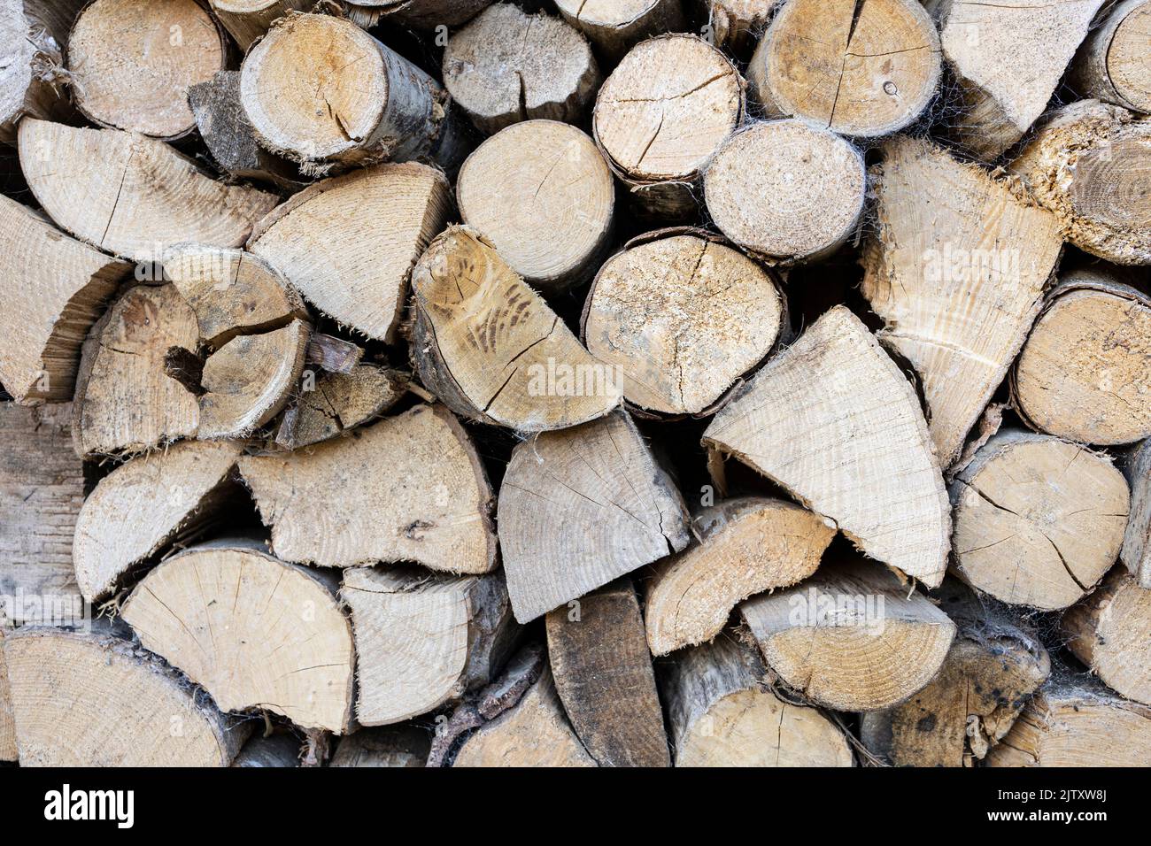 tronchi tritati e secchi immagazzinati e pronti per l'uso come combustibile per un bruciatore di tronchi durante i mesi invernali Foto Stock