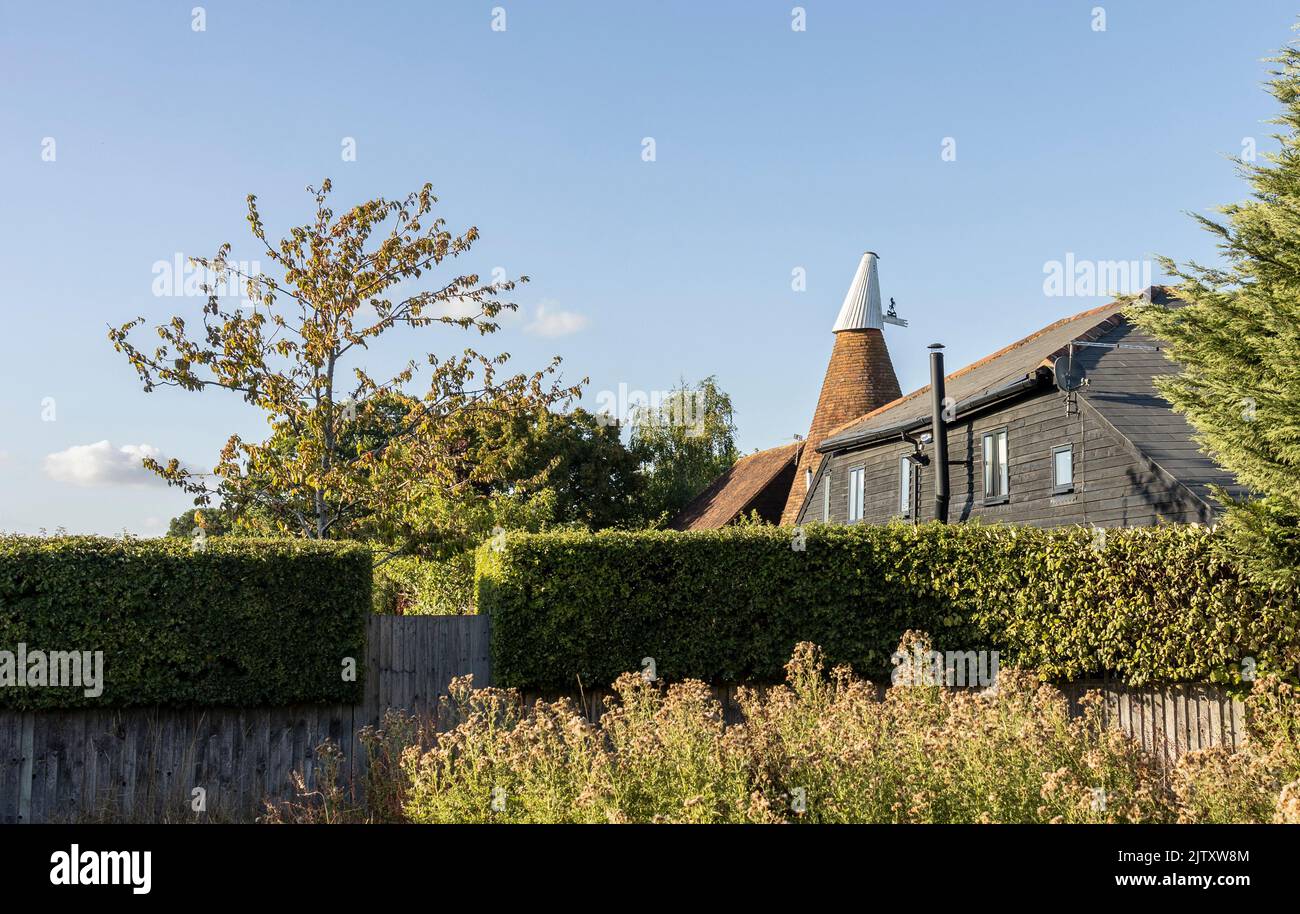 Piccolo inglese oast, luppolo casa nella campagna del kent in una luminosa serata di sole Foto Stock